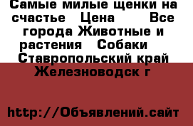 Самые милые щенки на счастье › Цена ­ 1 - Все города Животные и растения » Собаки   . Ставропольский край,Железноводск г.